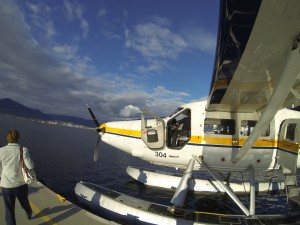 Harbour Air, Turbo Otter